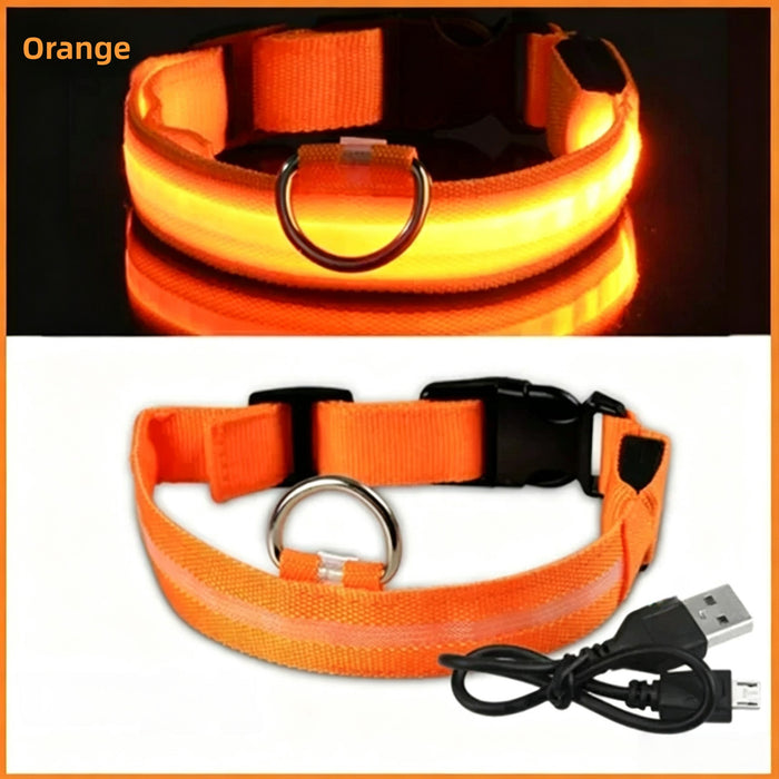 Orange / S