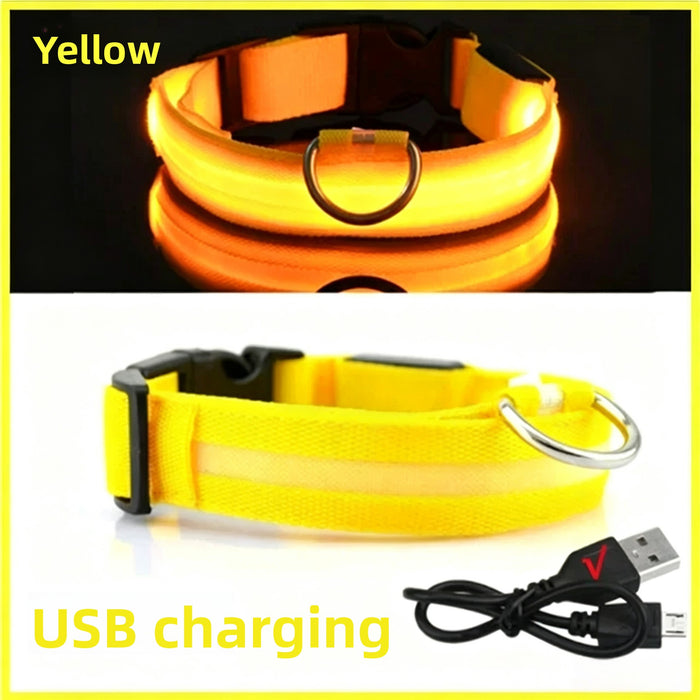 Yellow / M