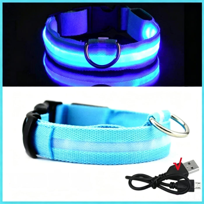 Blue / XL