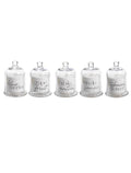 Apothecary Guild Scented Candle Jar with Glass Dome, 5 Scents