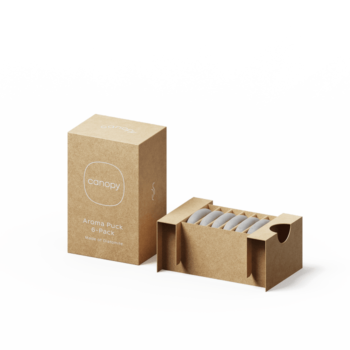 Aroma Stone 6-Pack displayed in eco-friendly kraft paper packaging, featuring a minimalist box design with six grey stone diffusers neatly arranged in a row, complete with Canopy branding and product information