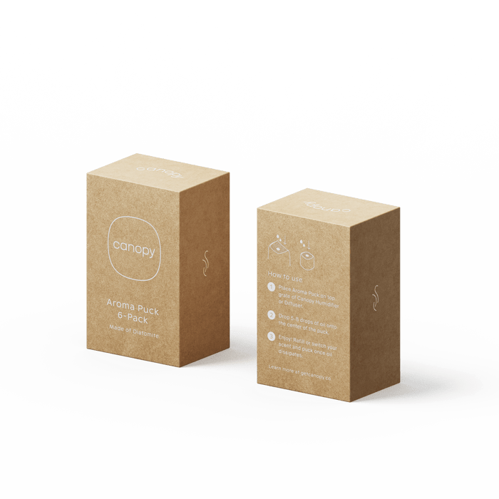 Aroma Stone 6-Pack kraft paper boxes showing front and back product packaging with minimal design, eco-friendly brown cardboard material, and white text displaying product information and instructions on white background