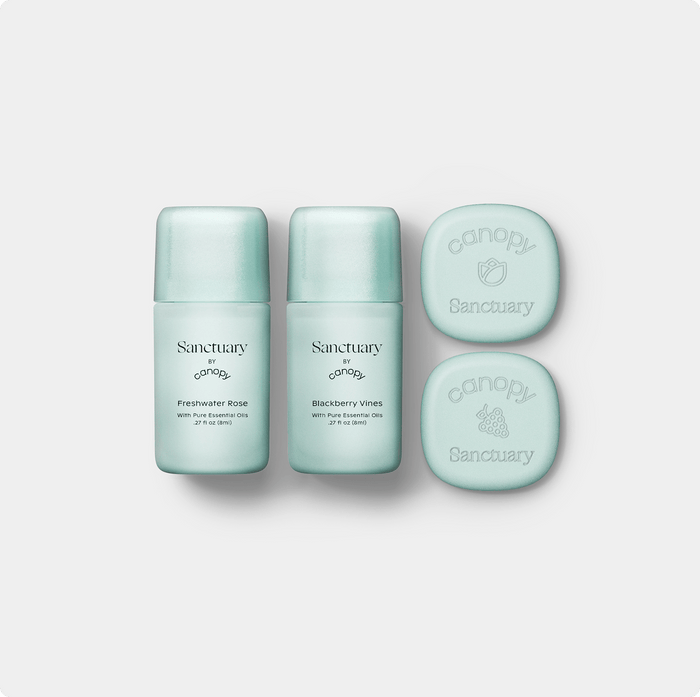 Aroma Kit subscription | With Aroma Stones