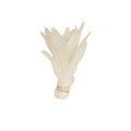 Feather Bundle - White