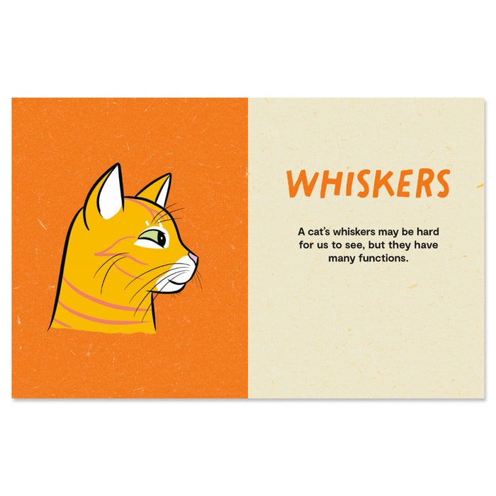 Kitty Language: An Illustrated Guide to Understanding Your Cat - bubblegum market
