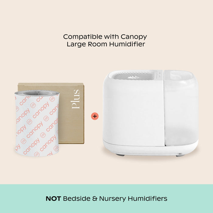 Large Room Humidifier | Lifestyle, the humidifier, compatible with large room
