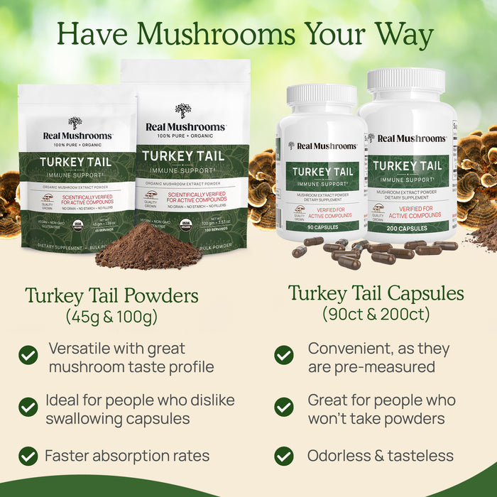 Turkey Tail Mushroom Capsule and Powder other benefits