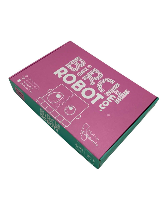Rocky the Raccoon Pendulum Clock - Birch Robot