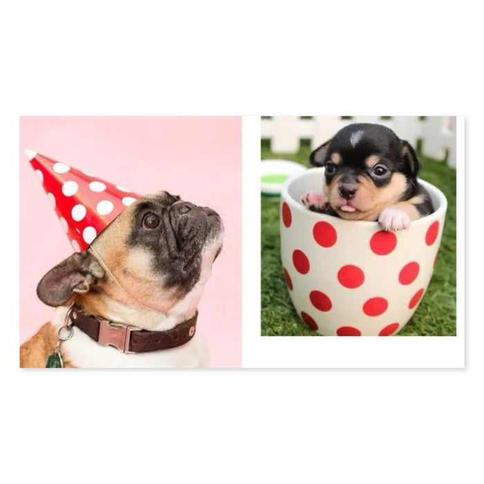 This Book Is Literally Just Pictures Of Cute Animals That Will Make You Feel Better