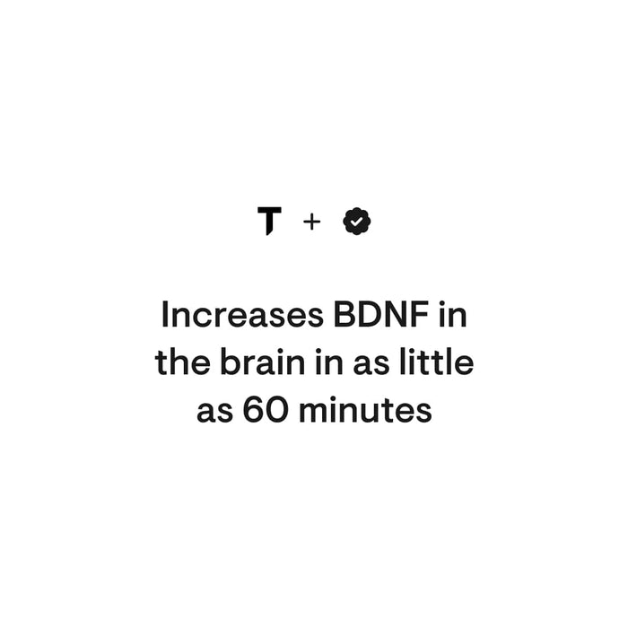 Thorne Brain Factors